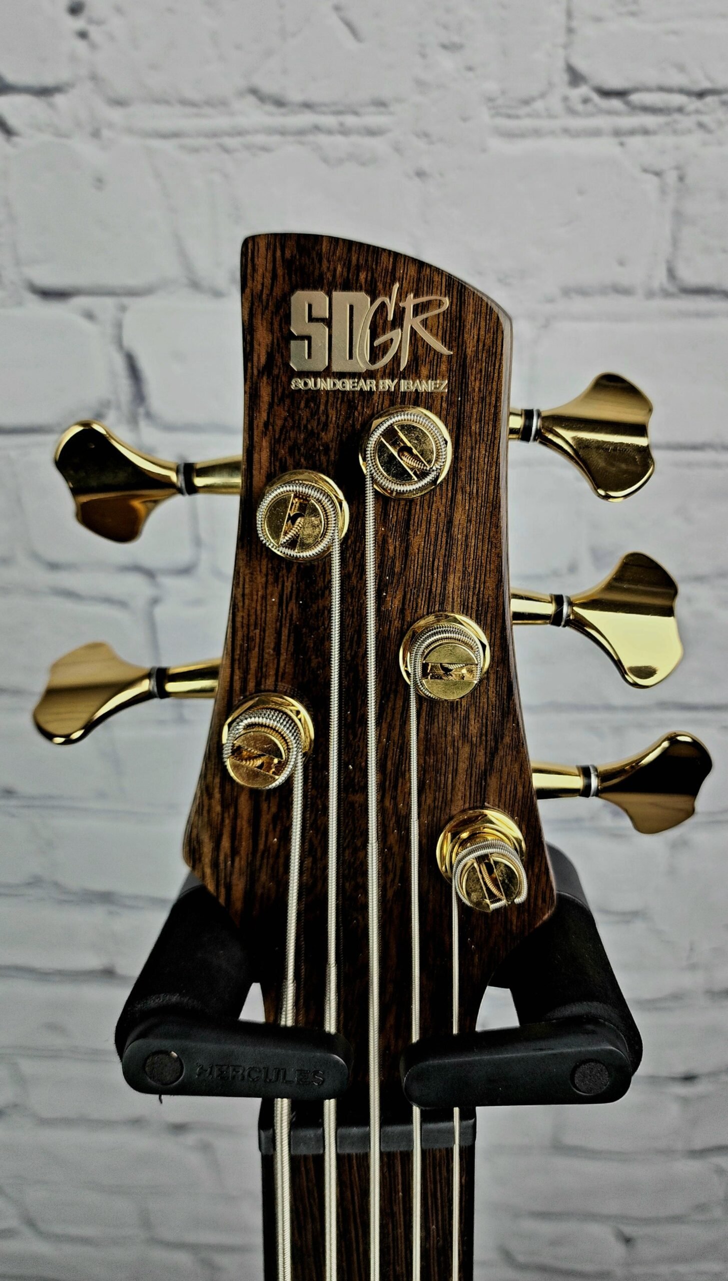 ibanez sr1605dw ask 5 string bass guitar autumn sunset sky ibanez sr1605dw ask 5 string bass guitar autumn sunset sky