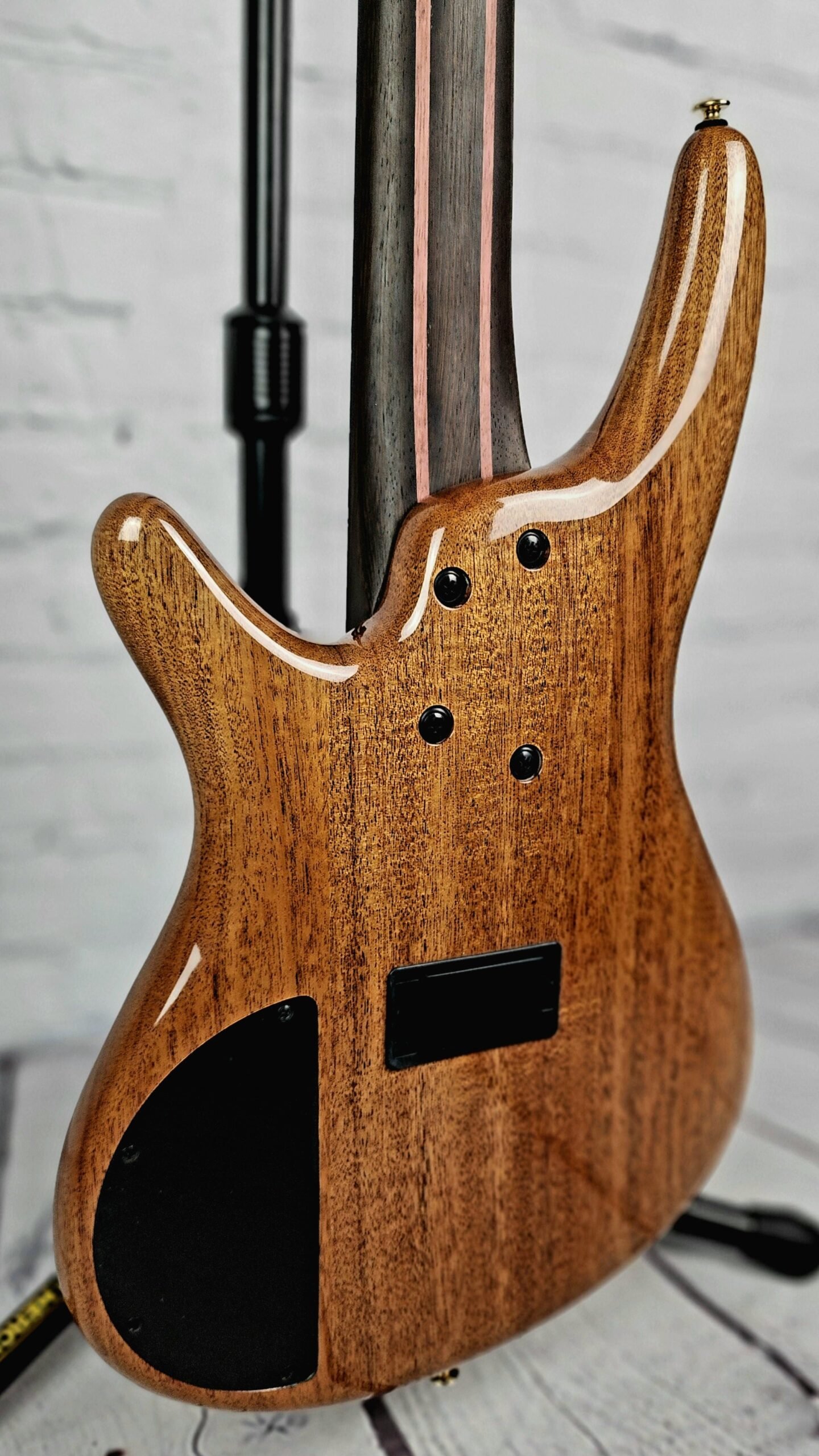 ibanez sr1605dw ask 5 string bass guitar autumn sunset sky ibanez sr1605dw ask 5 string bass guitar autumn sunset sky